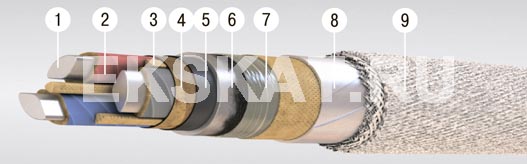 ����-6