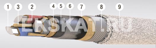 ����-6