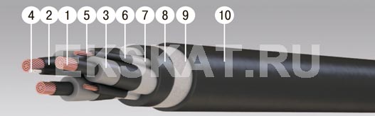 �����-10