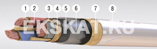 ����-6