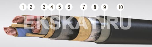 ����-1
